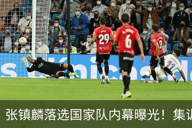 张镇麟落选国家队内幕曝光！集训前夕请假了：郭士强没有放弃他？